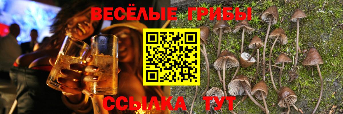 Псилоцибиновые грибы GOLDEN TEACHER Родники